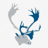 Caribou