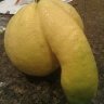 ChimChuot72